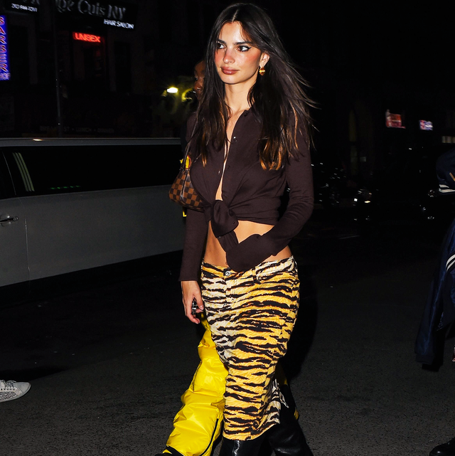 So Emily Ratajkowski Wore the Lowest Low-Rise Pants With a Crop Top