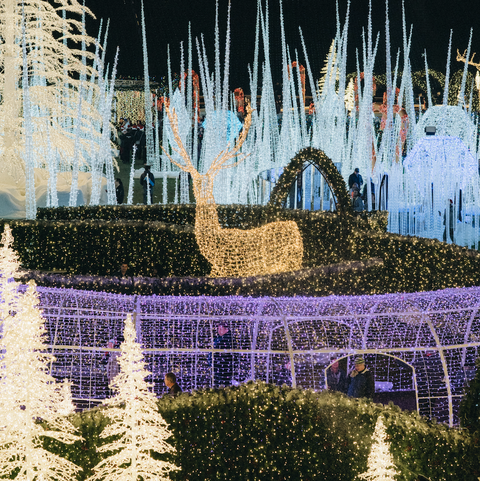 Enchant in St. Petersburg, Florida - World's Largest Christmas Light Maze