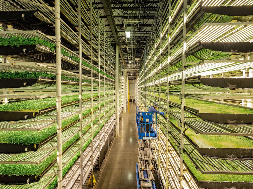 s Werelds grootste overdekte boerderij is van Aerofarms in New Jersey op termijn moeten midden in steden het hele jaar door op een duurzame manier groenten worden geteeld Op een herbruikbaar substraat van gerecycledeplastic flessen wordt bladgroente geteeld De wortels worden van onderaf beneveld wat 95 procent aan water bespaartBestrijdingsmiddelen wordener niet gebruikt voedingsstoffen en mest alleen wanneer dat noodzakelijk is De gewassen worden belicht op een golflengte waarbijze goed gedijen Volgens het bedrijfis de opbrengst 390 keer zo hoog als bij de traditionele teelt