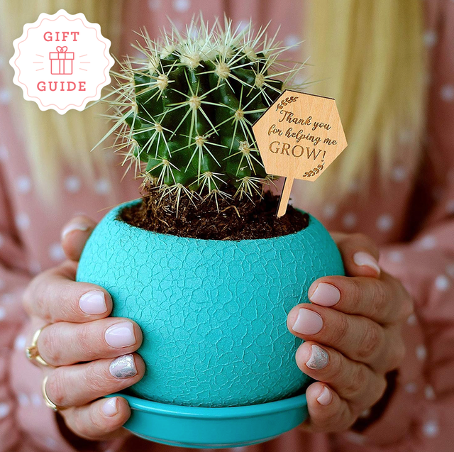 succulents with teacher tags and personalized tote bags are two good housekeeping picks for the best teacher gifts