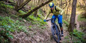 single speed mountain bike mtb enduro mountain biking in a pristine forest