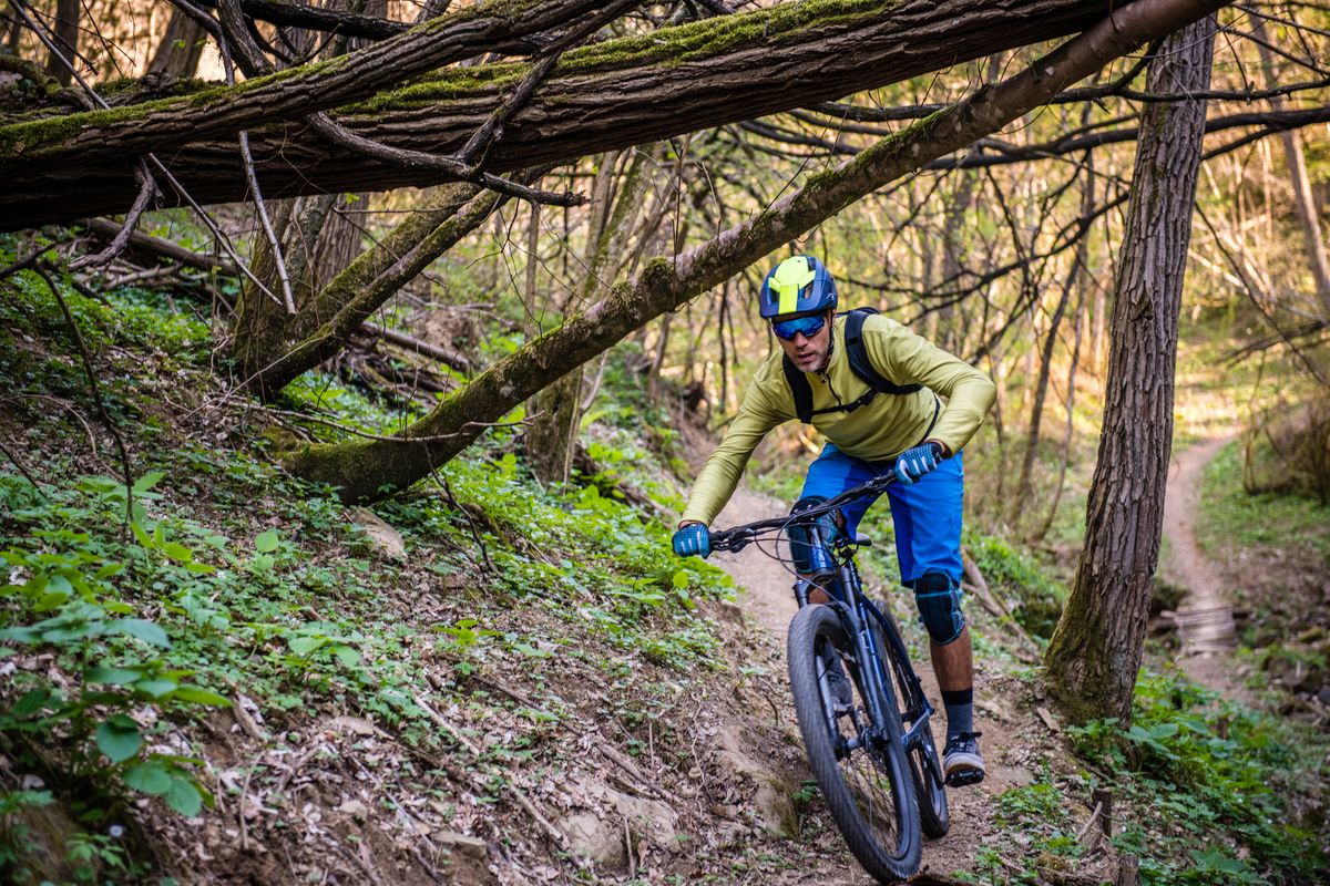 single speed mountain bike mtb enduro mountain biking in a pristine forest