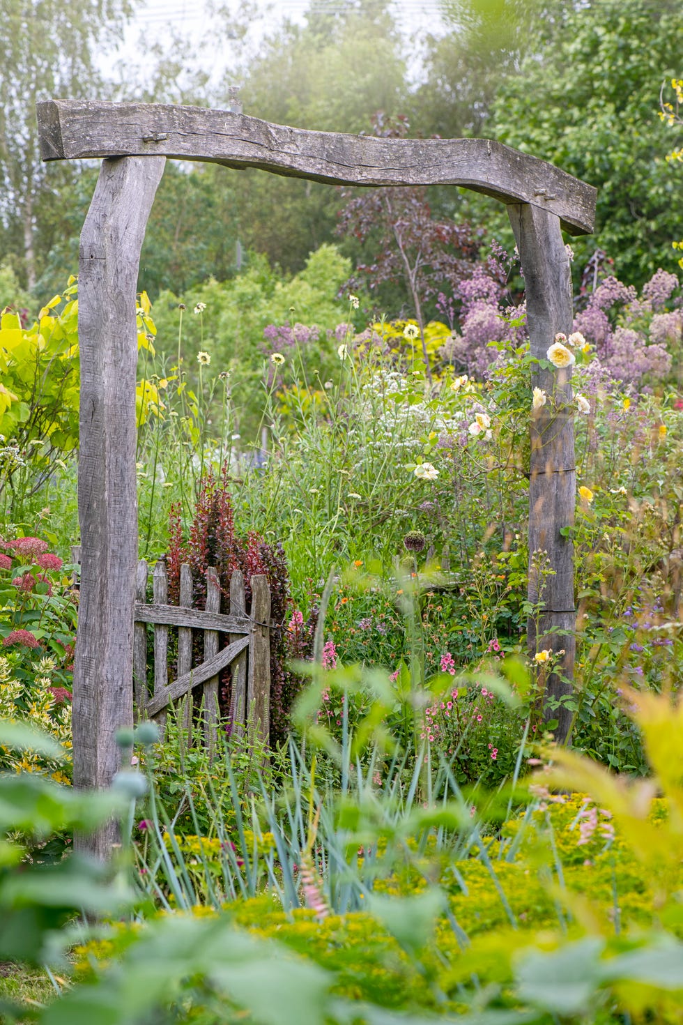 english cottage garden with rustic gate and wooden archway in soft sunshine