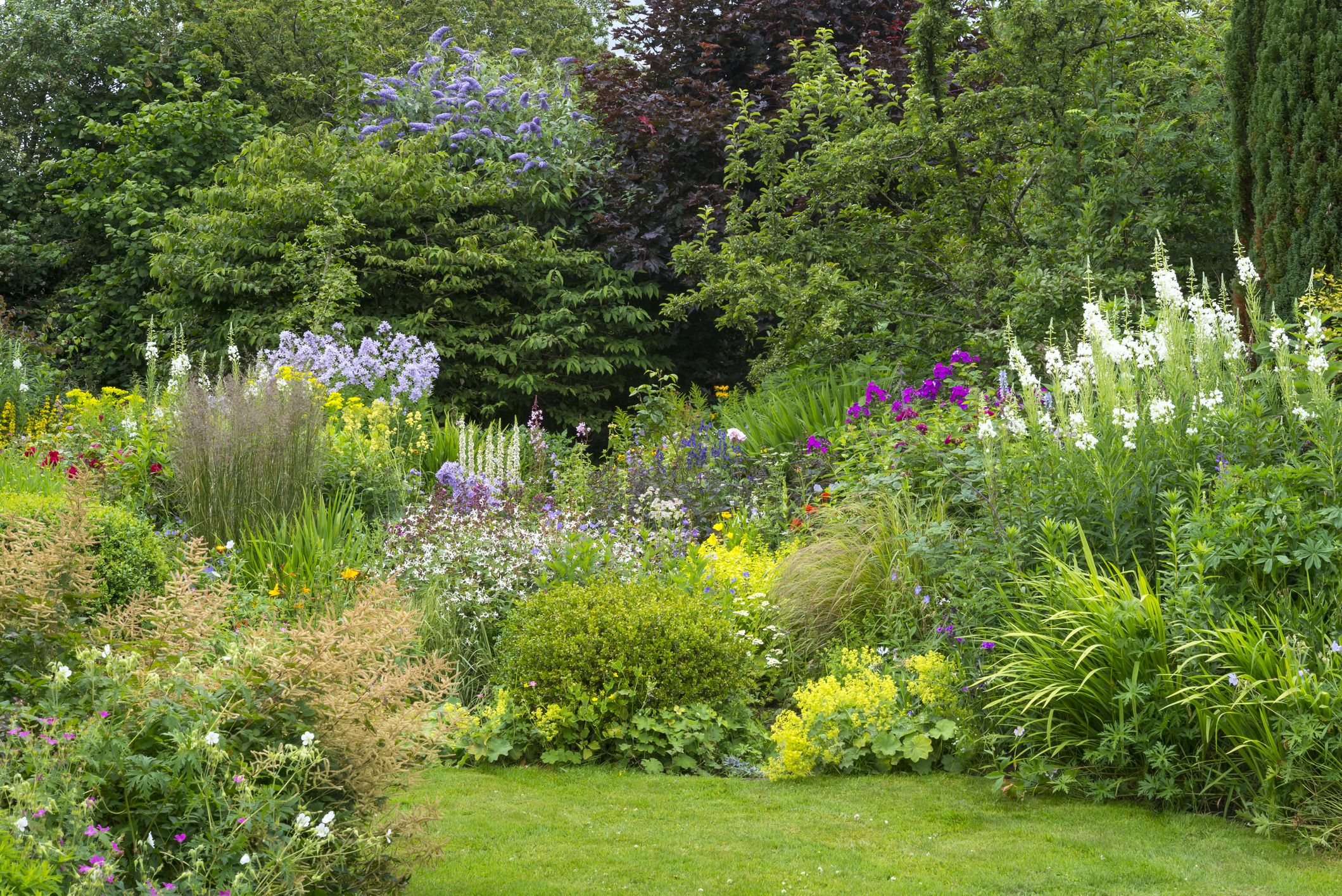 15 Best English Garden Ideas - How to Design an English Garden