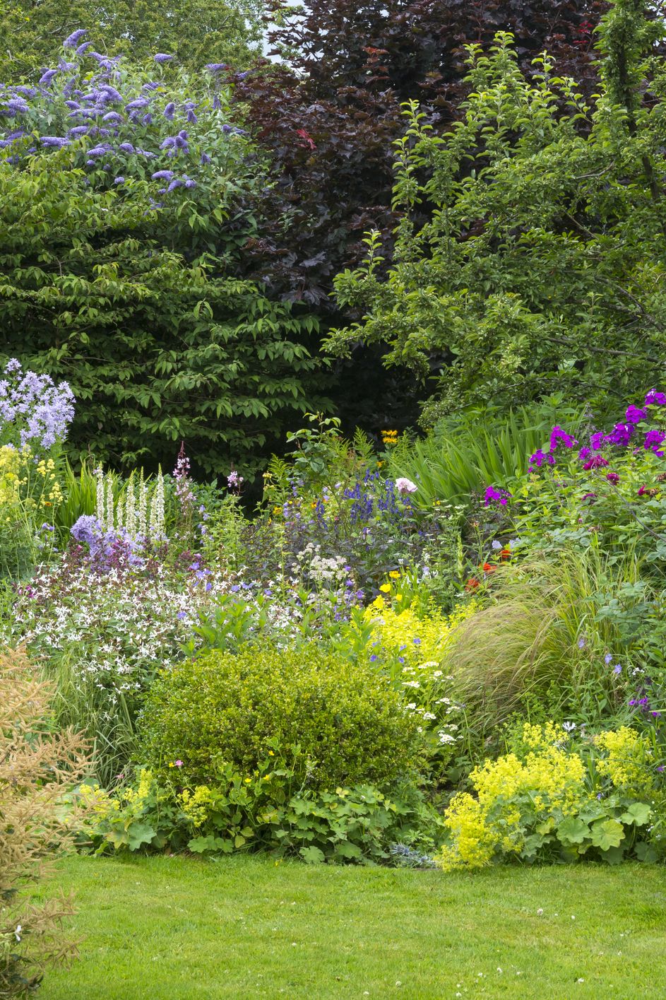 variety english gardens