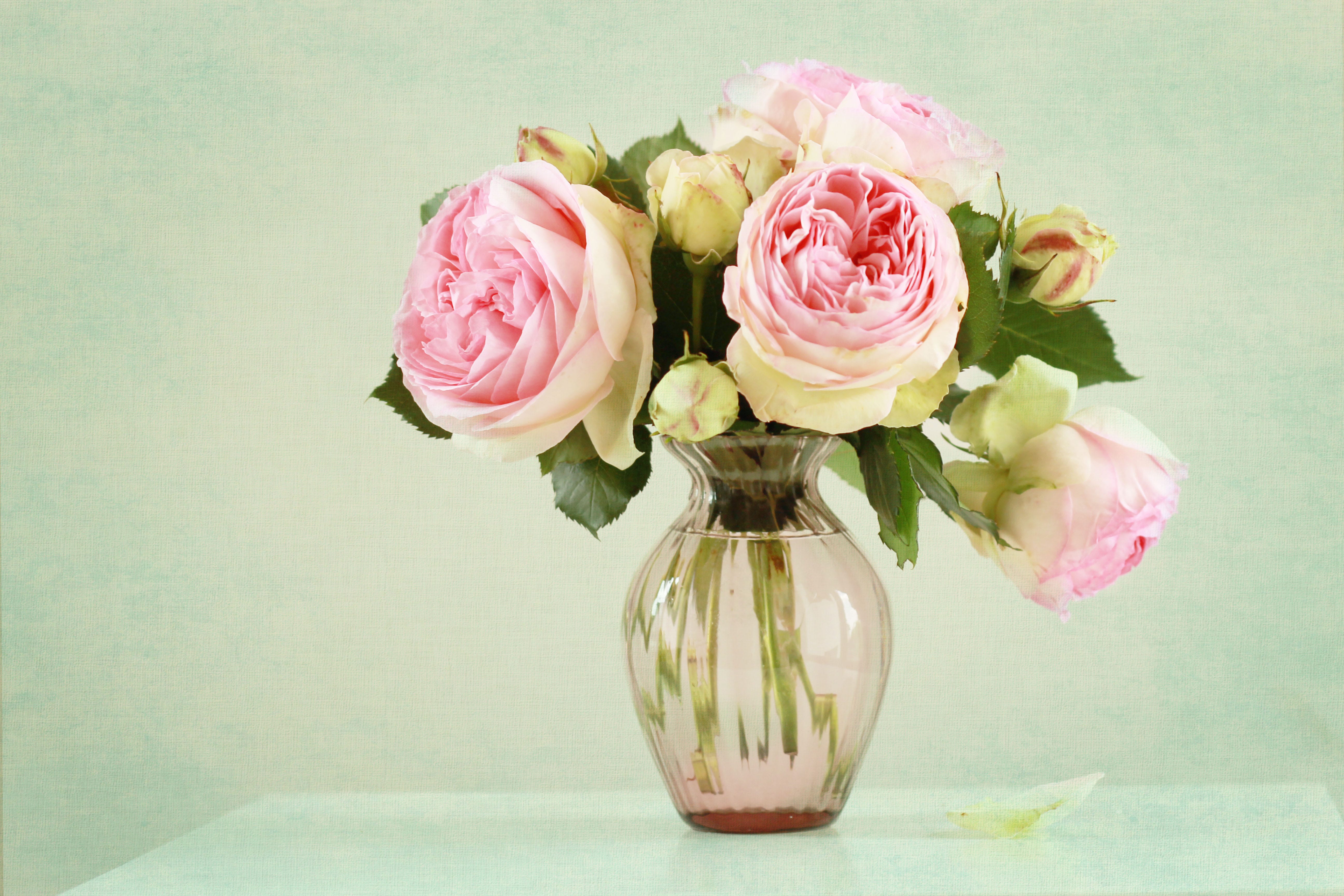 Here's What the Color of Your Roses Really Means - Rose Color Meaning