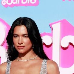 Dua Lipa wore a sparkly see-through fishnet dress is the perfect choice for  mermaid Barbie