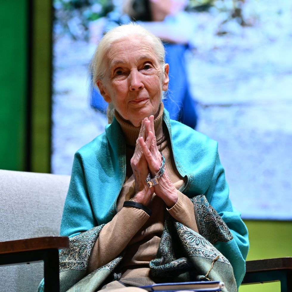 jane goodall speaks at the unesco