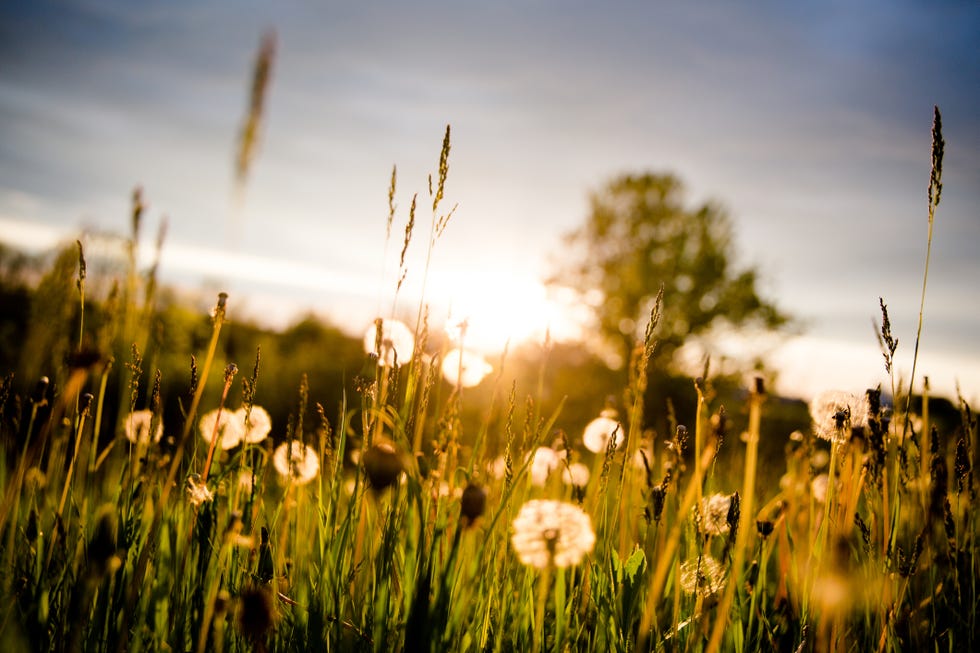 The National Trust Launches Musical Lockdown Event at Sunrise