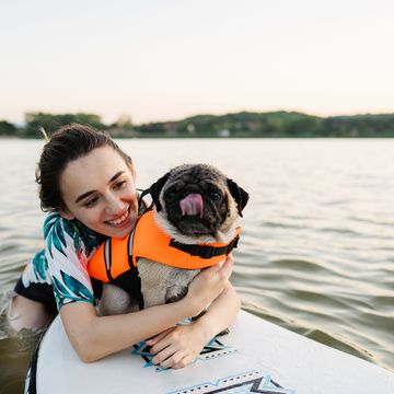 a woman with her pug on a paddleboard, with the pug wearing an orange dog life jacket