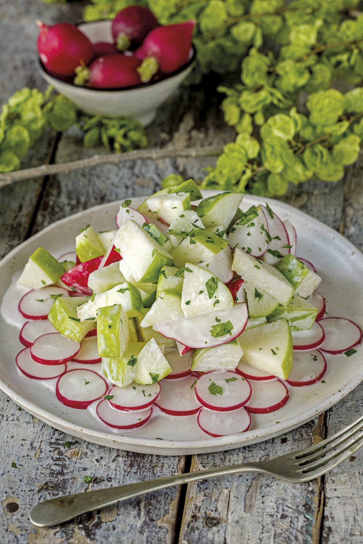 Ensalada de rábanos y manzana ácida - Recetas fáciles