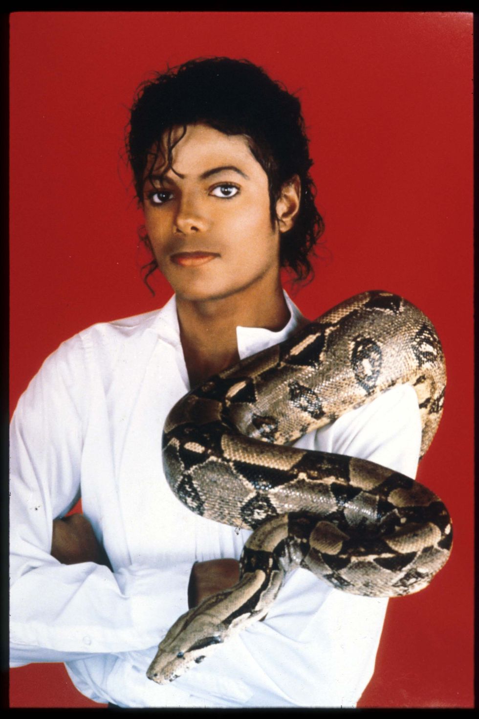 michael jackson   with pet snake