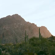 This is an image dove mountain