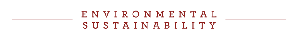 environmental sustainability