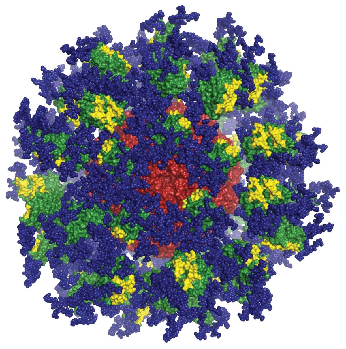 Computerbeeld van het afweerstimulerende eiwit eODGT8