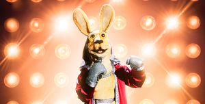 Who Is the Kangaroo on 'The Masked Singer'?