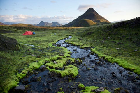 Reden om te gaanje bent een vulkanoloog of een trekker die de wildernis van IJsland wil verkennen en in hutten wilt overnachtenIn het voorjaar van 2010 kwam de vulkaan Eyjafjallajkull op IJsland tot uitbarsting waarbij delen van deze route onder as en puin werden begraven waaronder ook de Fimmvruhlspas het hooggelegen stuk land tussen de Eyjafjallajkull en de grotere ijskap van de Mrdalsjkull In mei 2010 toen de vulkaan weer tot rust kwam was de route omgelegd Op deze nieuwe versie van IJslands populairste trekroute die nog magischer lijkt te zijn dan voorheen kun je de verwoestende kracht van vulkanen uit de eerste hand ervaren en de pasgeboren nog sissende tweelingkraters Magni en Mi wat sterk en dapper betekent bewonderen De kraters werden genoemd naar de zonen van Thor de Noorse god van de donder en bliksem die altijd een moker bij zich draagtVanuit Landmannalaugar een geothermaal paradijs in regenboogkleuren in het natuurreservaat van Fjallabak slingert het pad zich door woestijnen over vlakten en door kloven om uiteindelijk uit te komen in Thrsmrk letterlijk Thors bos een dicht berkenbos met echte bomen een zeldzaamheid in dit land van vuur en ijs Daartussen loop je door een buitenaards landschap van stomende fumarolen vulkanische bodem bedekt met korstmossen en glinsterende gletsjers Hoewel veel mensen de route tot aan het natuurreservaat van Thrsmrk volgen is de tocht van de Fimmvruhlspas naar het dorpje Skgareen niet te versmaden hoogtepunt Dit gedeelte van de route loopt langs een ravijn waarin het wemelt van de watervallen de kloof mondt uit in de Skgafoss waar het water zich met donderend geraas van de ruim zestig meter hoge rotsen stortOp weinig trektochten kun je zulke ongerepte natuur combineren met overnachtingen in gezellige hutten maar verwacht niet dat je alleen zult zijn door de vele toeristen en plaatselijke trekkers is de route z populair geworden dat ze nu de bijnaam Laugavegur heeft gekregen naar de grote drukke boulevard in het centrum van Reykjavik Het pad kan worden gesloten of aangepast als gevolg van vulkaanuitbarstingen of vulkanische activiteit dus mocht je genteresseerd zijn kun je beter vroeger dan later gaan
