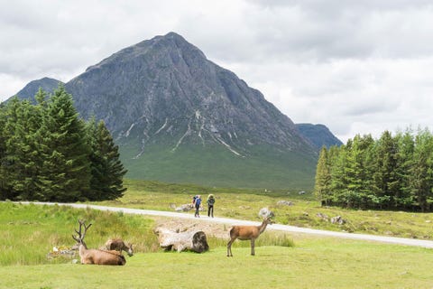 Reden om te gaan je bent een onderzoekende trekker in redelijk goede vorm die een week lang wil opgaan in de afgelegen Schotse HooglandenDe West Highland Way is de eerste officieel uitgezette langeafstandsroute van Schotland en is ook de populairste want ze vormt over een afstand van 154 kilometer een goede kennismaking met het romantische en woeste landschap tussen Milngavie aan de rand van Glasgow en Fort William aan de voet van de 1344 meter hoge Ben Nevis de hoogste berg van de Britse Eilanden Op deze route zul je worden ondergedompeld in een scala van landschappen waaronder laaggelegen heideland dichte bossen glooiende heuvels en berggebieden Soms geniet je van de eenvoudige schoonheid van kalme oorden aan de oever van Loch Lomond of het veengebied van Rannoch Moor Op andere dagen zul je worden getrakteerd op de verbluffende natuurpracht van de mystieke hooglanden met de rotsformaties en het golvende grasland van Glen Coe en de beklimming van de bergkam Aonach Eagach via de Devils Staircase Een adembenemende en onvergetelijke trektocht die zeker tot de verbeelding zal sprekenHoewel hier veel wordt gekampeerd is er in de dorpen langs de route gelegenheid om te genieten van cultuur en comfort Slaap in een warm bed wissel verhalen uit met de plaatselijke bevolking geniet van een singlemalt Scotch en reis rond een loch en voor culinaire avonturiers is er de authentieke Schotse haggis Je kunt je trip verlengen door ook de Ben Nevis te beklimmen via de toeristenroute die begint in Fort William