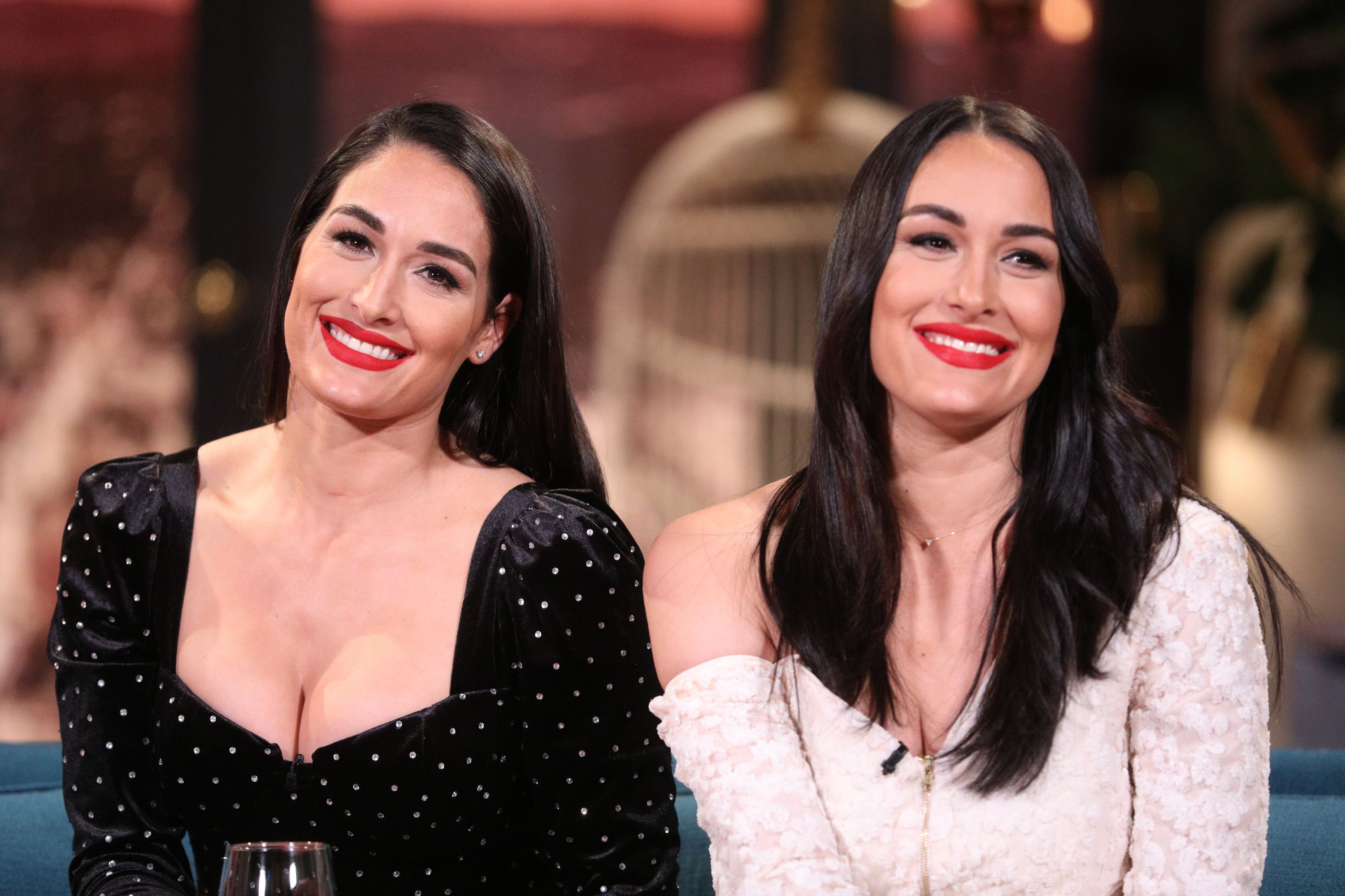 Brie & Nikki Bella Share First Look at Newborn Sons Together in