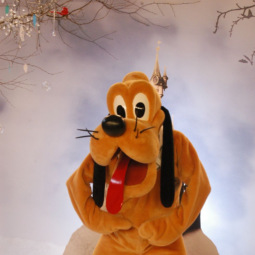 eröffnung der weihnachtssaison 2008, pluto, "disneyland resort p
