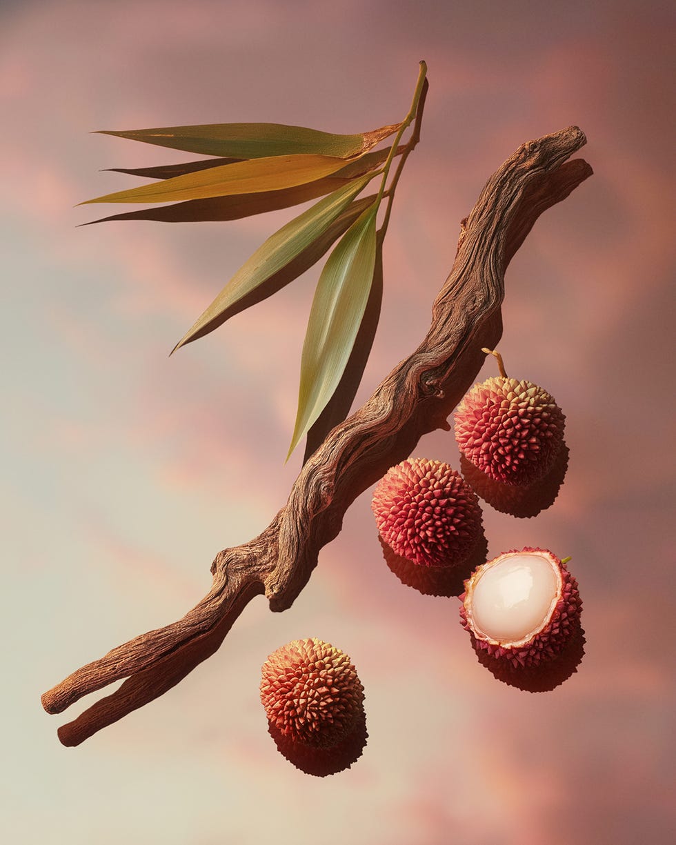 frutti di litchi circondati da foglie e legni galleggianti
