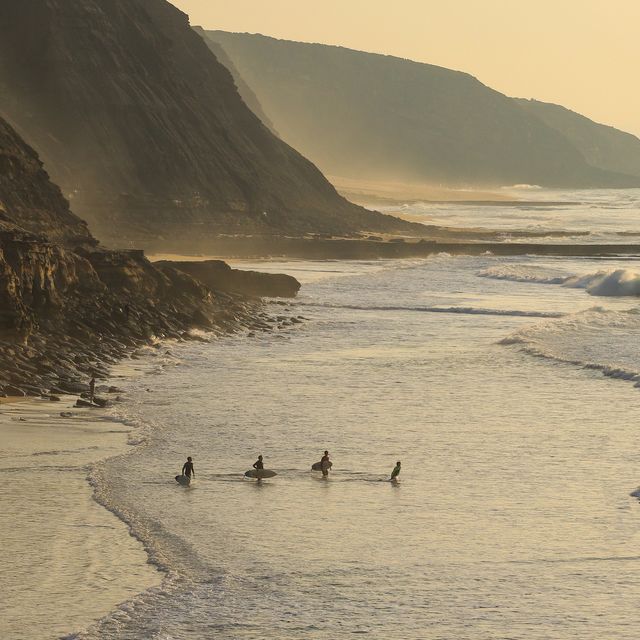 grupo de surferos en la playa