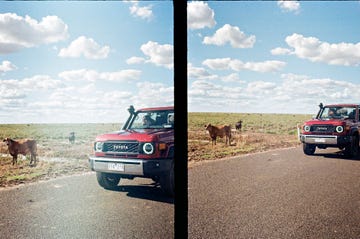 a couple of cars and a couple of cows on a road