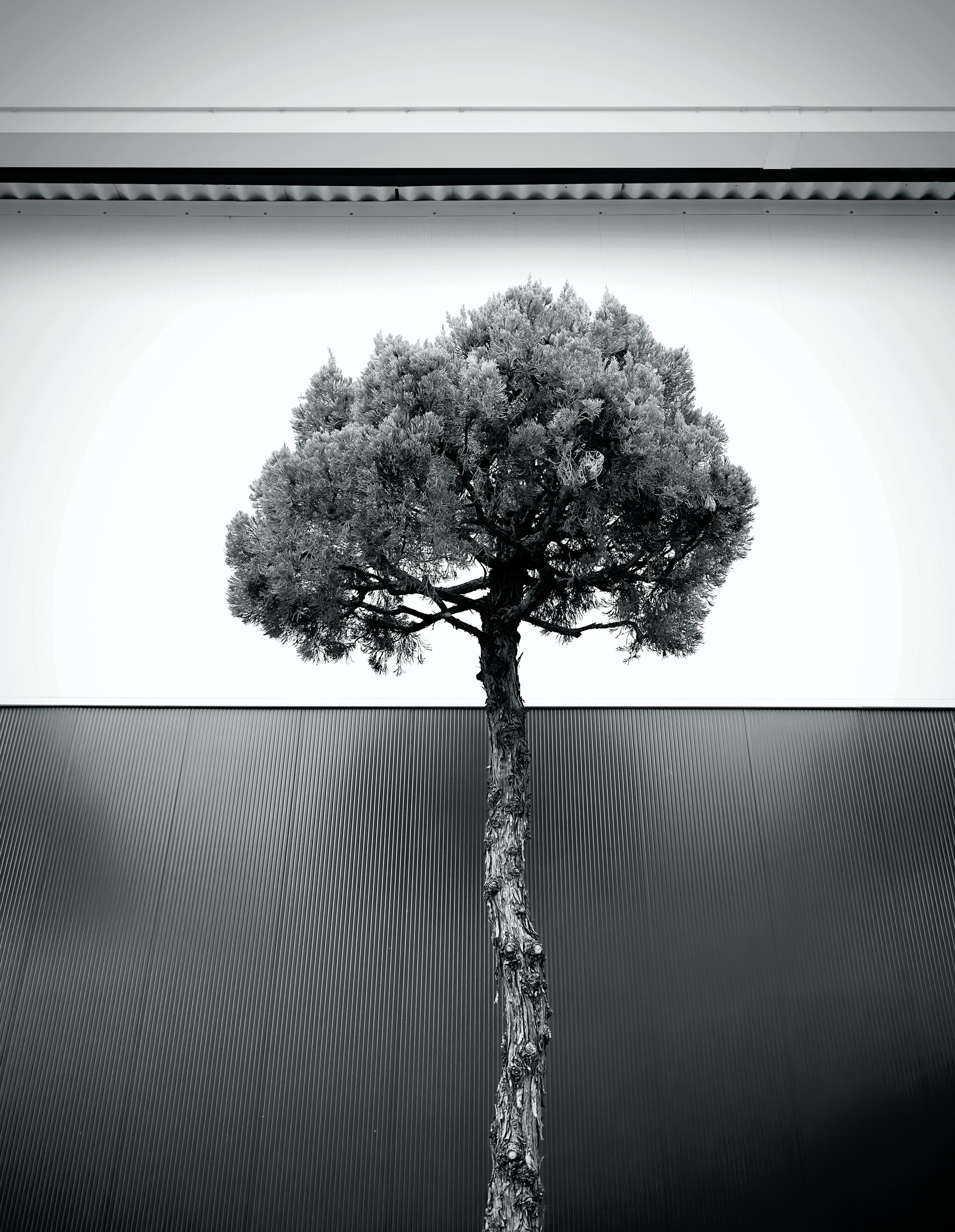 Michael Kenna 45 A Year Odyssey マイケル・ケンナ