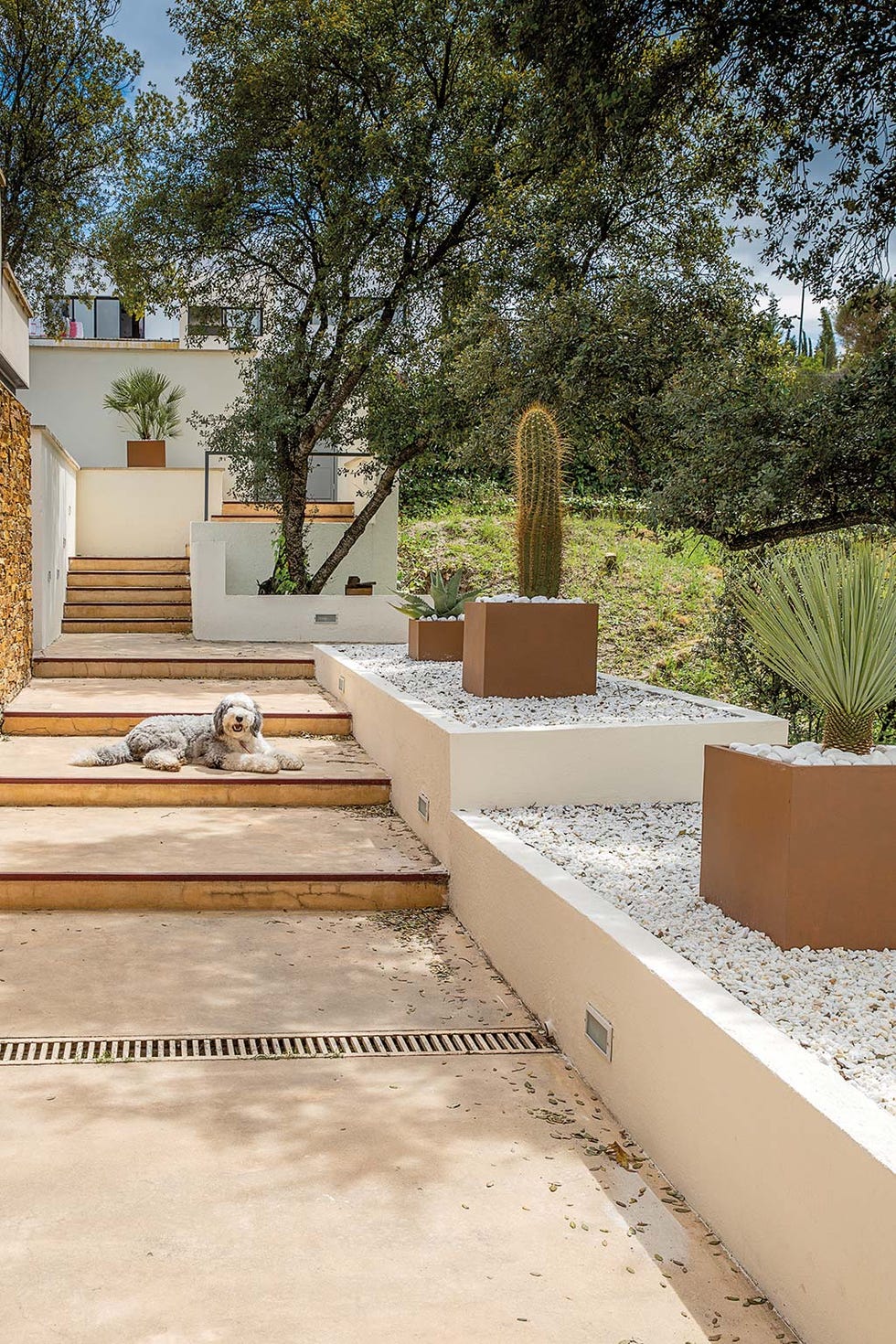 Entrada de la vivienda rodeada de jardín