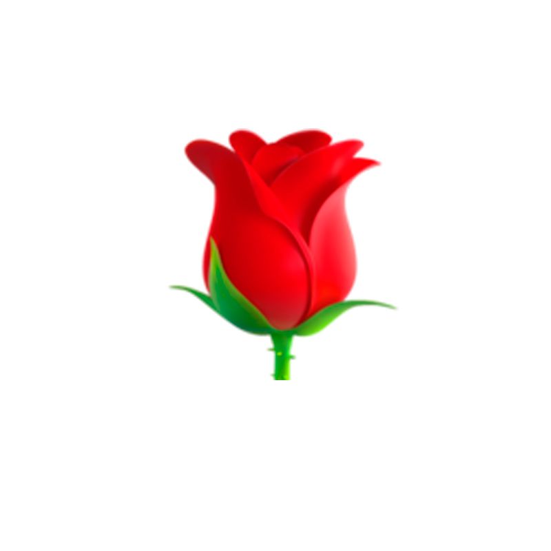 Petal, Flower, Colorfulness, Carmine, Botany, Flowering plant, Rose family, Pedicel, Coquelicot, Artificial flower, 