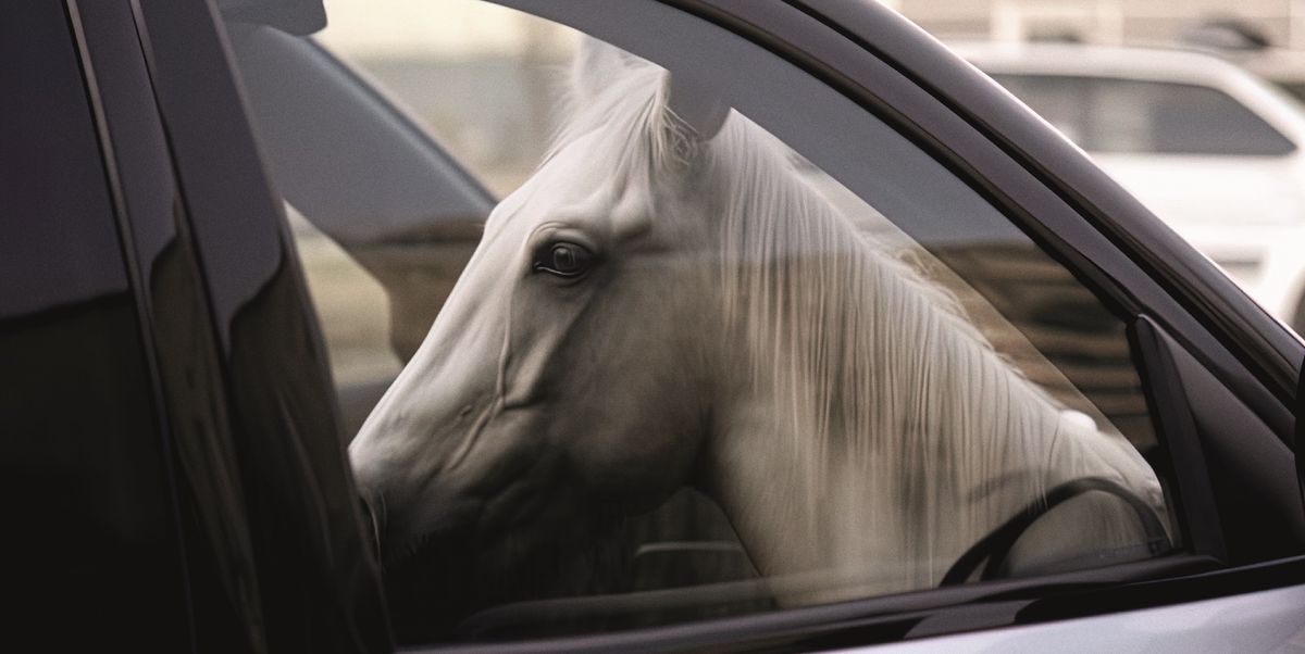 a horse looking out the window of a car
