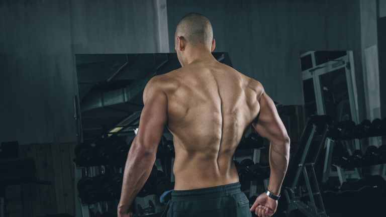 Entrenamiento de espalda: por qué es importante y ejercicios básicos