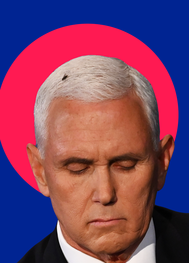 the fly on mike pence's head