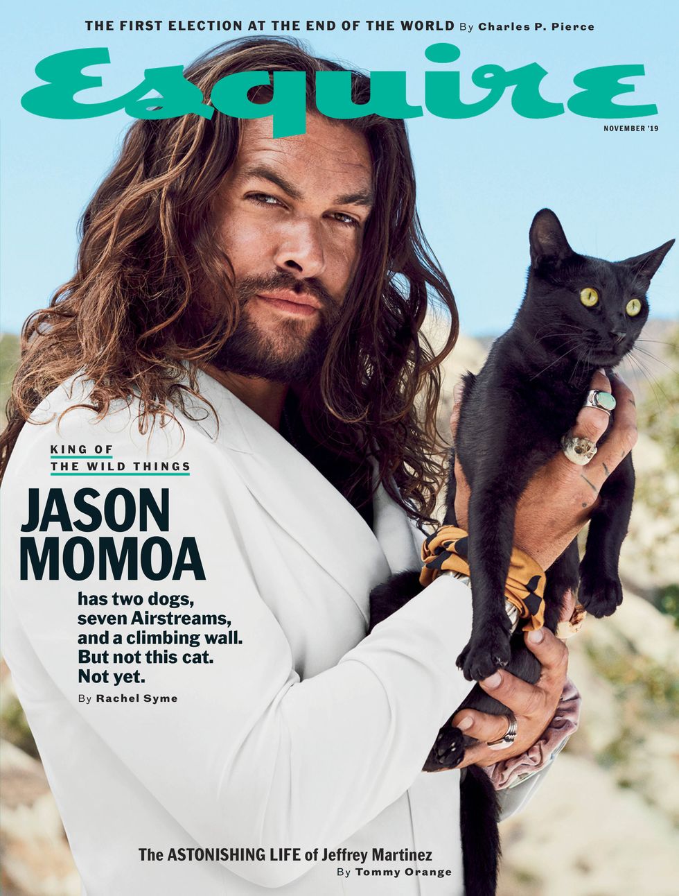 Magazine, Cat, Photo caption, Felidae, 