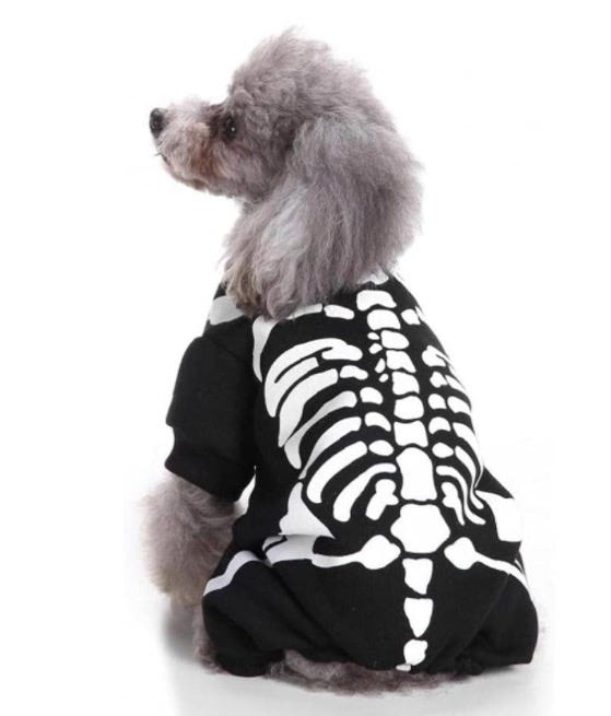 disfraces halloween perros
