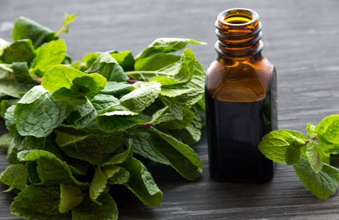 essential aroma oil with peppermint  on wood