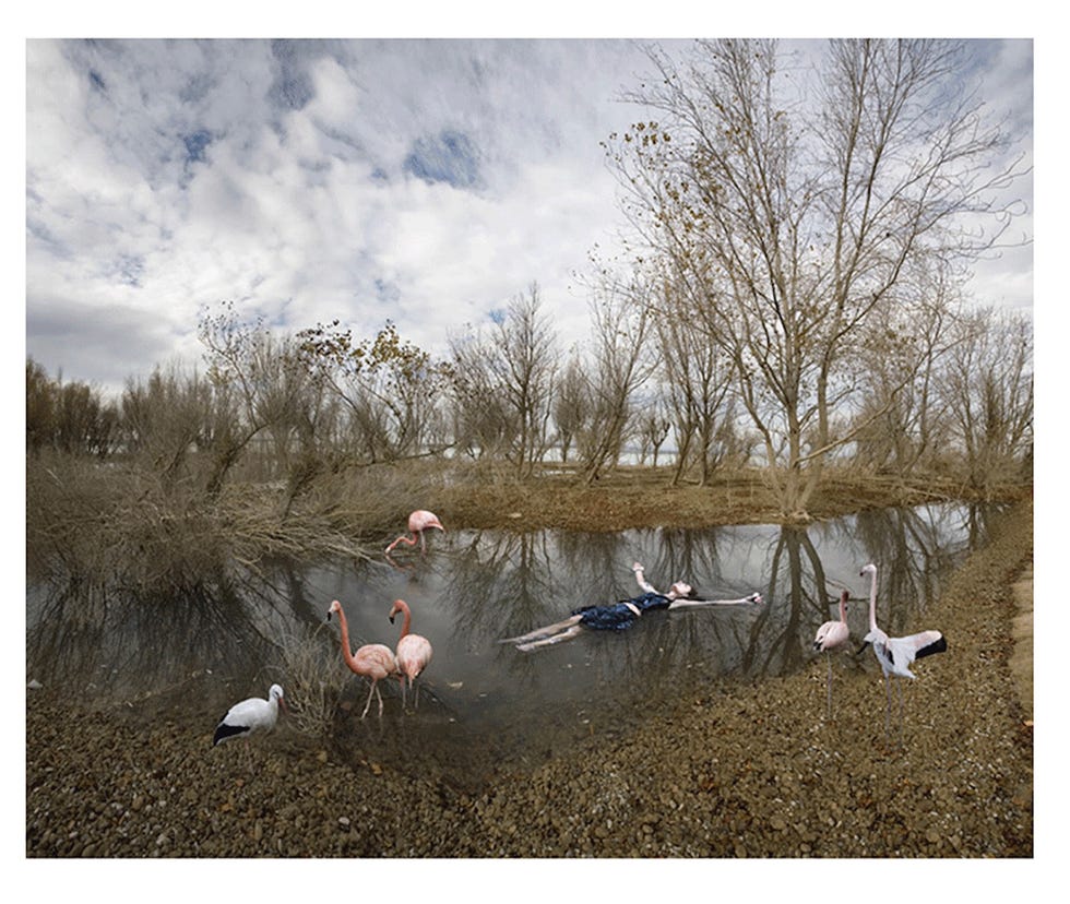 cecilia del val la traversée, serie ''el otro reino'', 2009 lambda print 30x40 cm edición 25 enmarcado incluido cámara oscura galería de arte