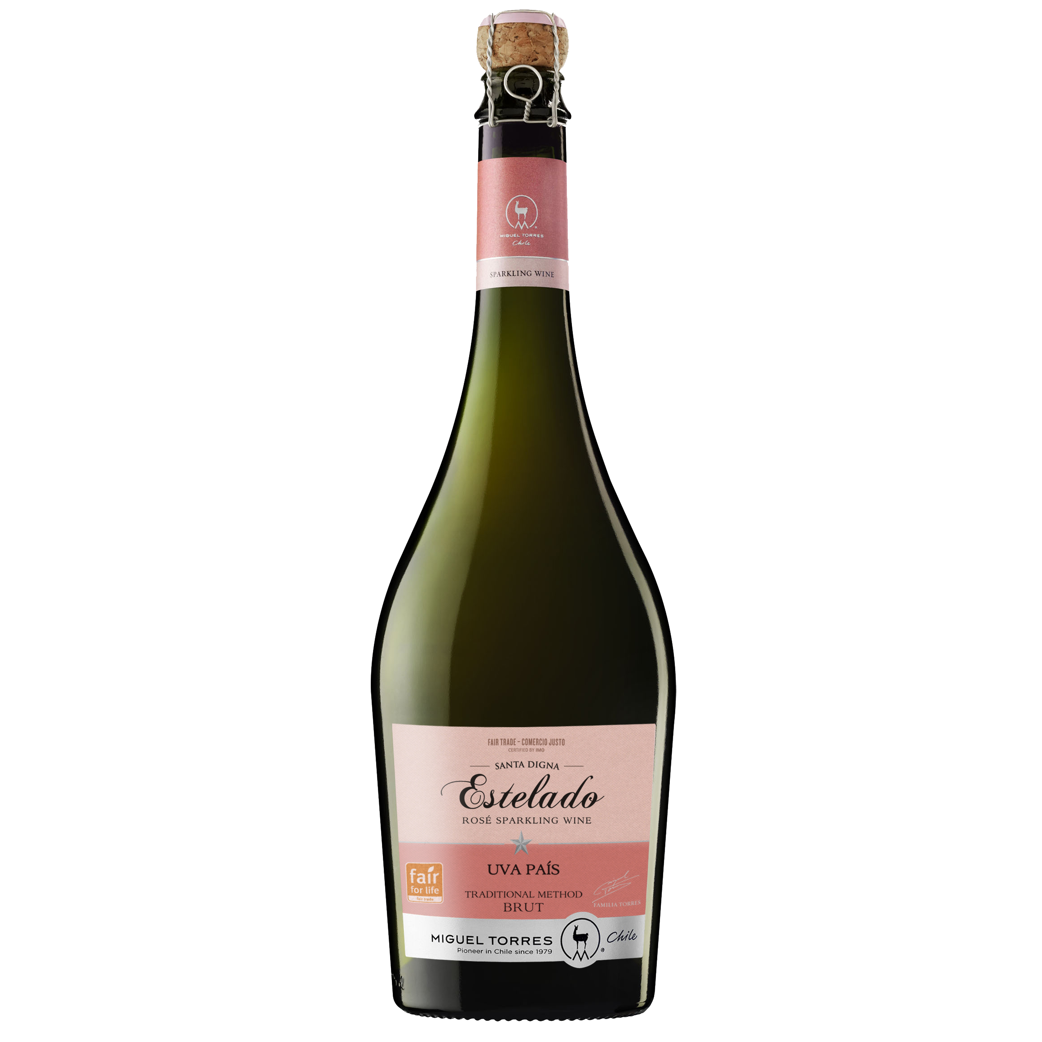 Drink, Alcoholic beverage, Bottle, Liqueur, Glass bottle, Wine, Champagne, Distilled beverage, Alcohol, Sparkling wine, 