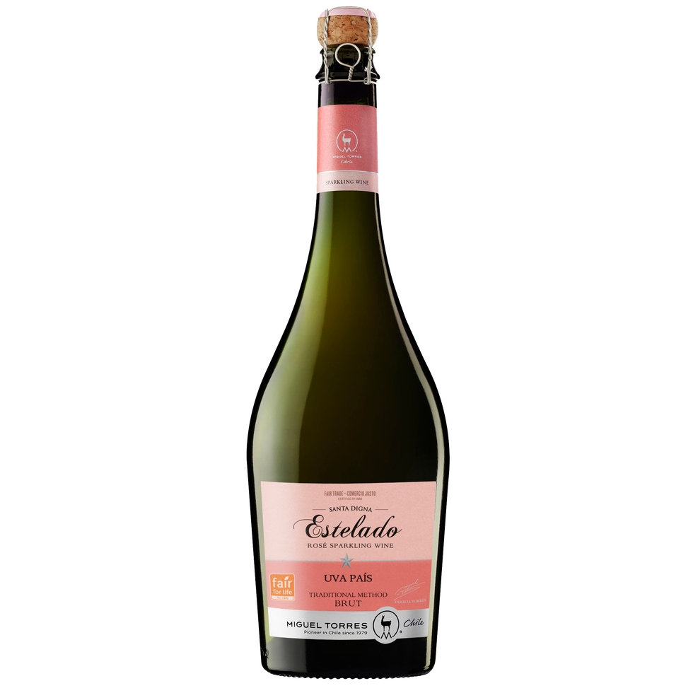 Drink, Alcoholic beverage, Bottle, Liqueur, Glass bottle, Wine, Champagne, Distilled beverage, Alcohol, Sparkling wine, 