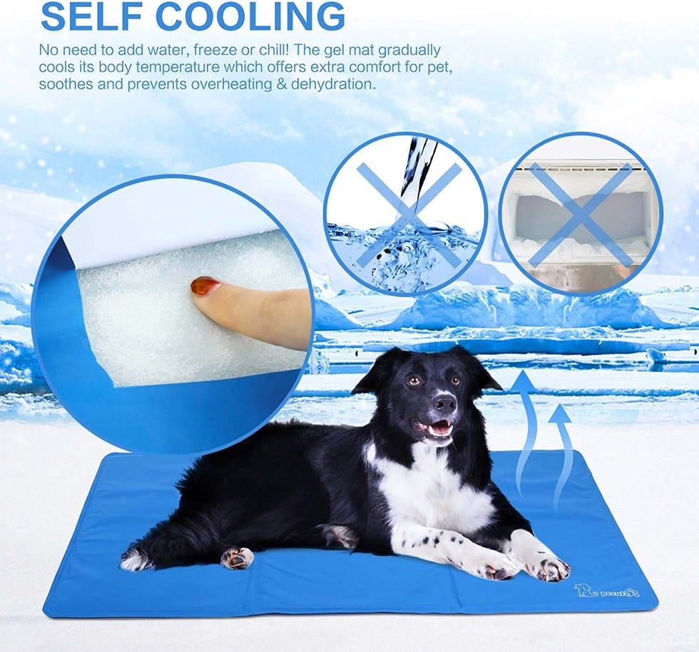 esterilla refrescante para perros