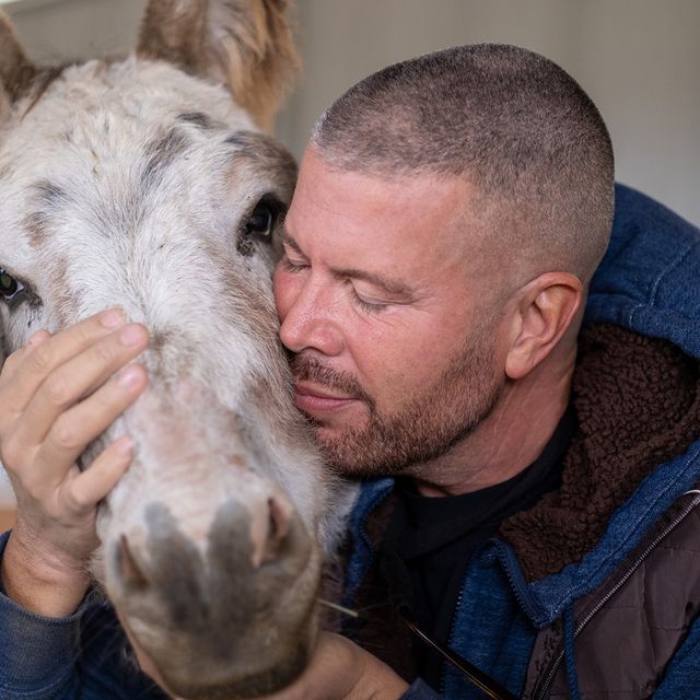 ron king started a donkey sanctuary