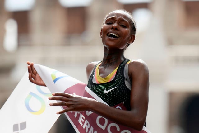 megertu alemu