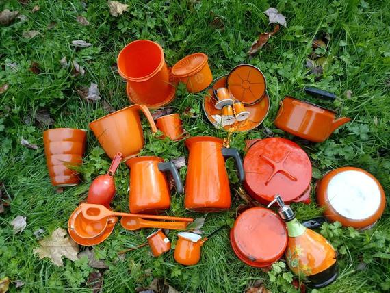Orange, Grass, Vegetable, Plant, Food, Vegetarian food, Carrot, Cuisine, 