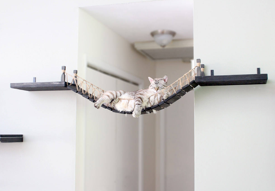 Etsy Sells an Indiana Jones Inspired Cat Bridge Indiana Jones Cat Hammock Review