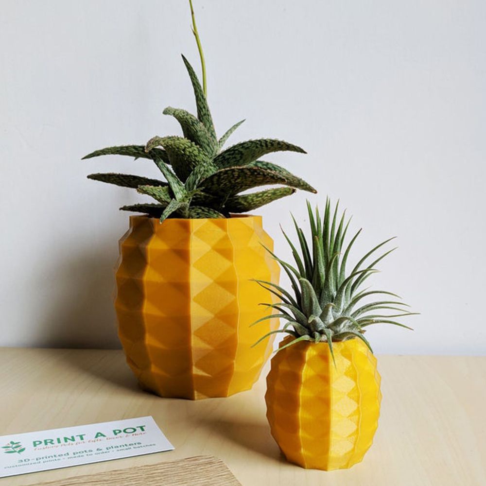 This Adorable Pineapple Planter Comes a Succulent to Look Like the Real Thing