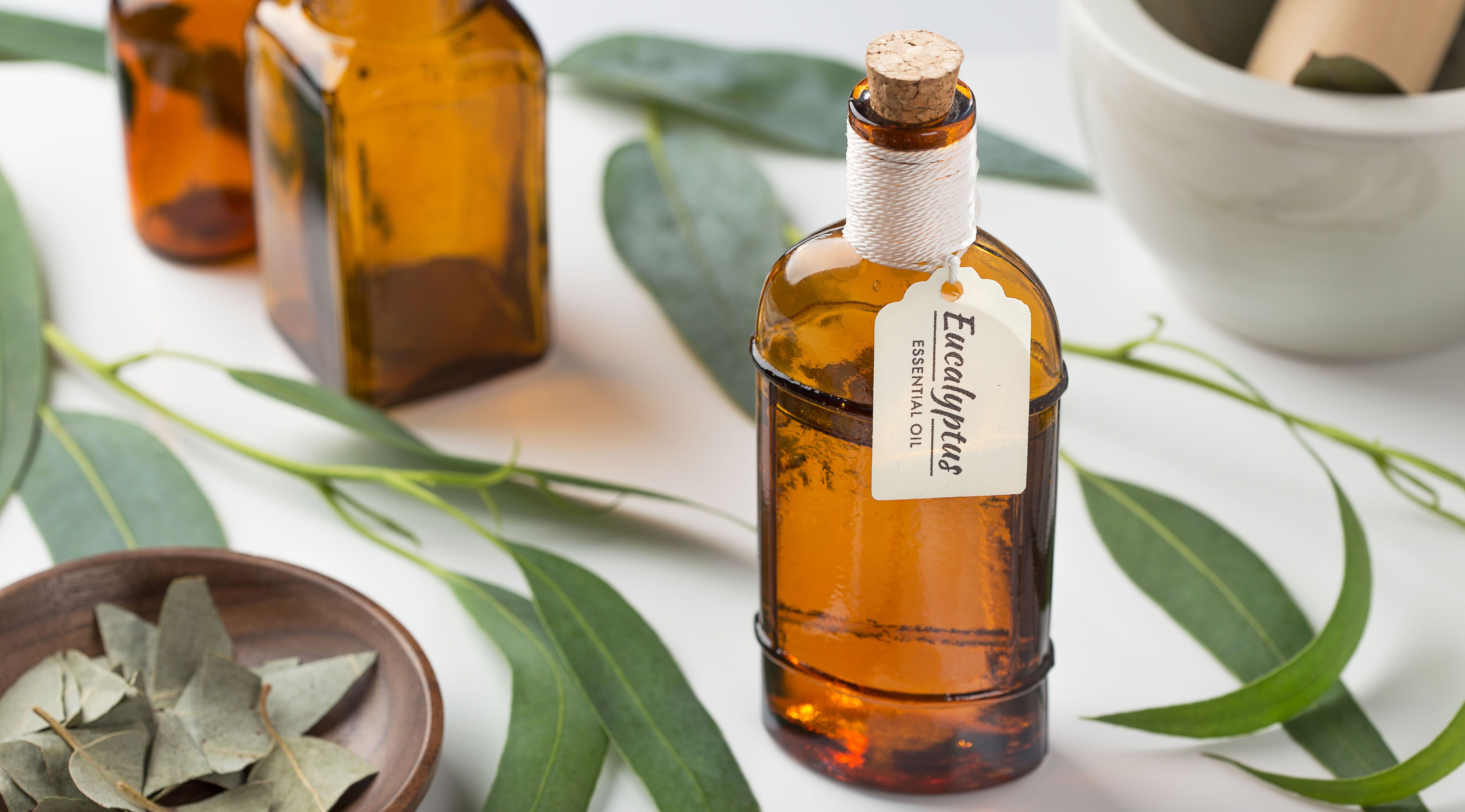 12 Eucalyptus Oil Benefits - The Best Ways to Use Eucalyptus Oil