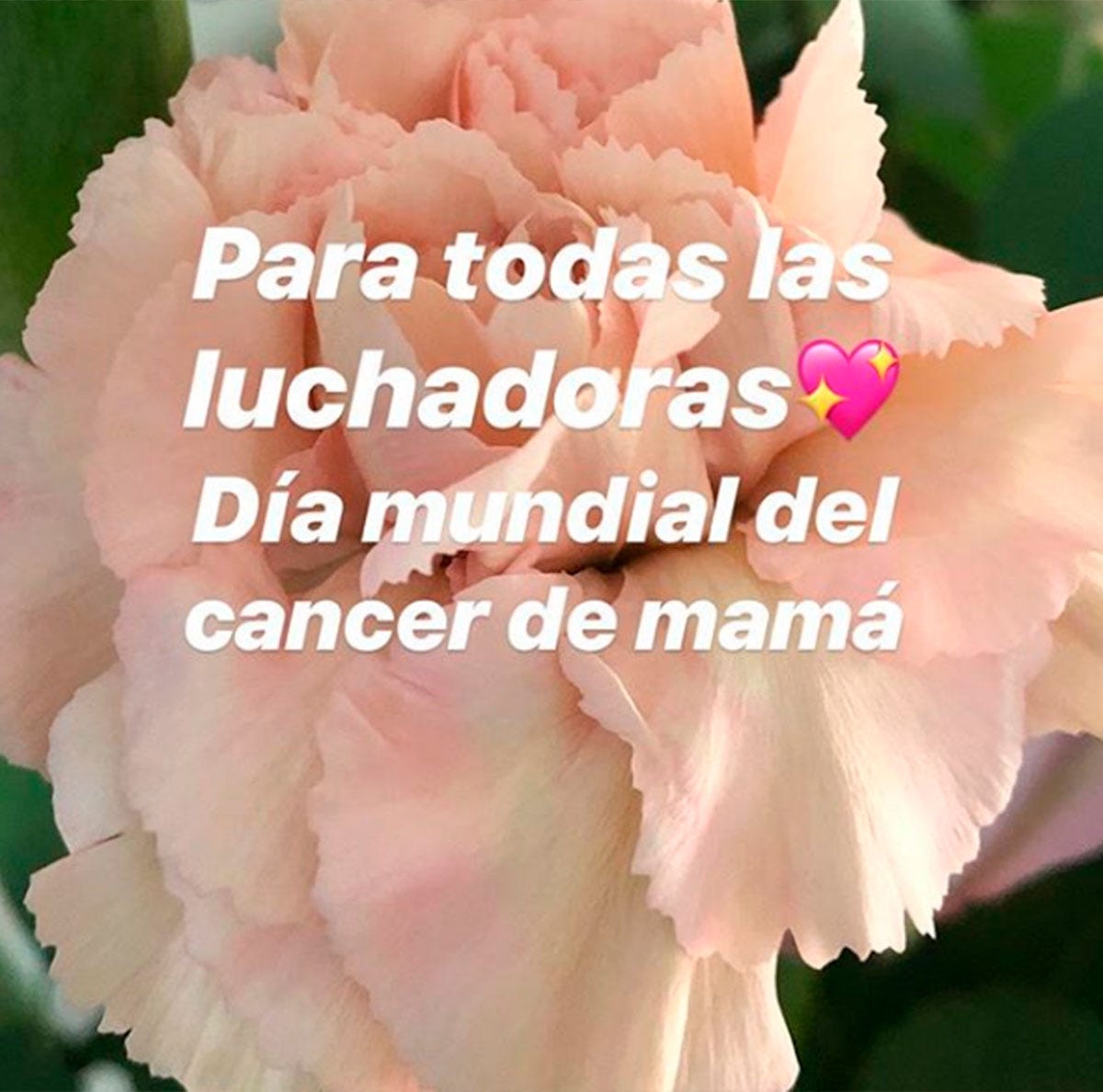 Dia de la lucha contra el cancer de mama
