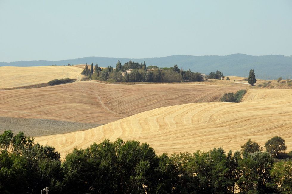 Bekijk het iconische Toscaanse landschap op de pelgrimsroute Via Francigena naar Buonconvento
