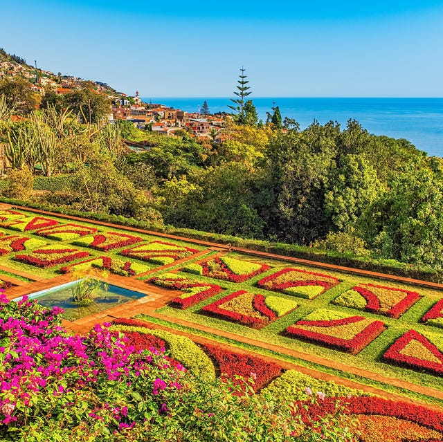 botanical garden in funchal, madeira, portugal european holidays