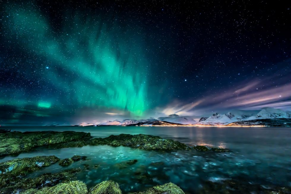 amazing aurora borealis northern lights view from coast in oldervik, near tromso city north norway